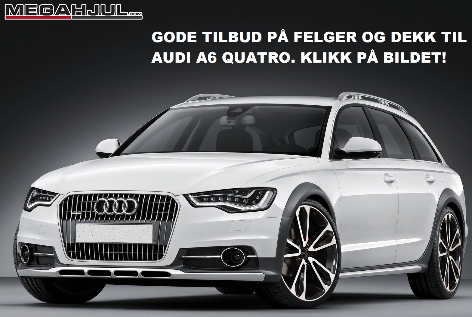 sommerfelger og dekk til Audi A6